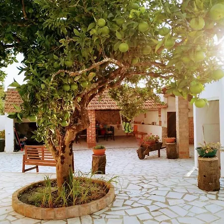 Moita Vakantiehuis Moita (Leiria)