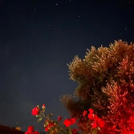 Hébergement de vacances Moita Moita (Leiria)